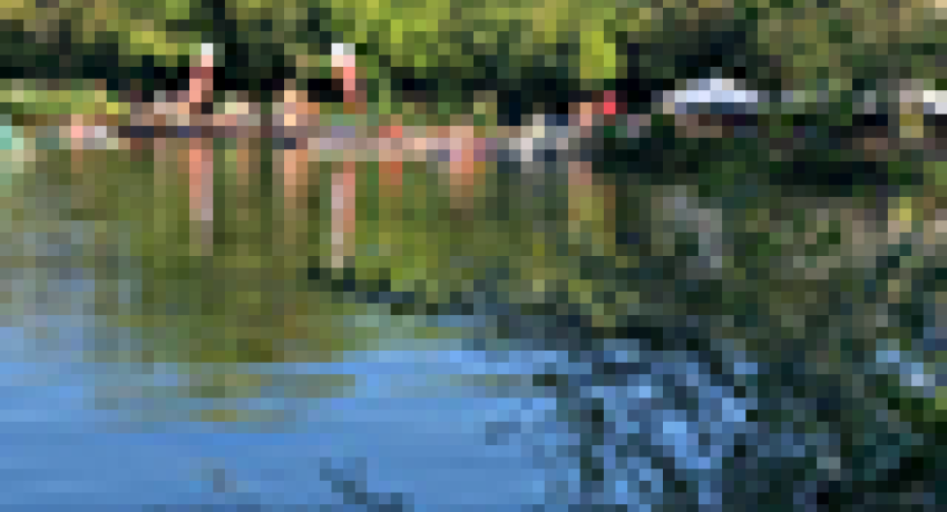 Schwedlersee